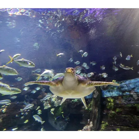 Kuestenkind * Timmendorfer Strand