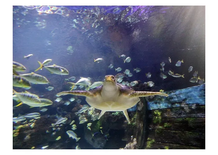 Kuestenkind * Timmendorfer Strand